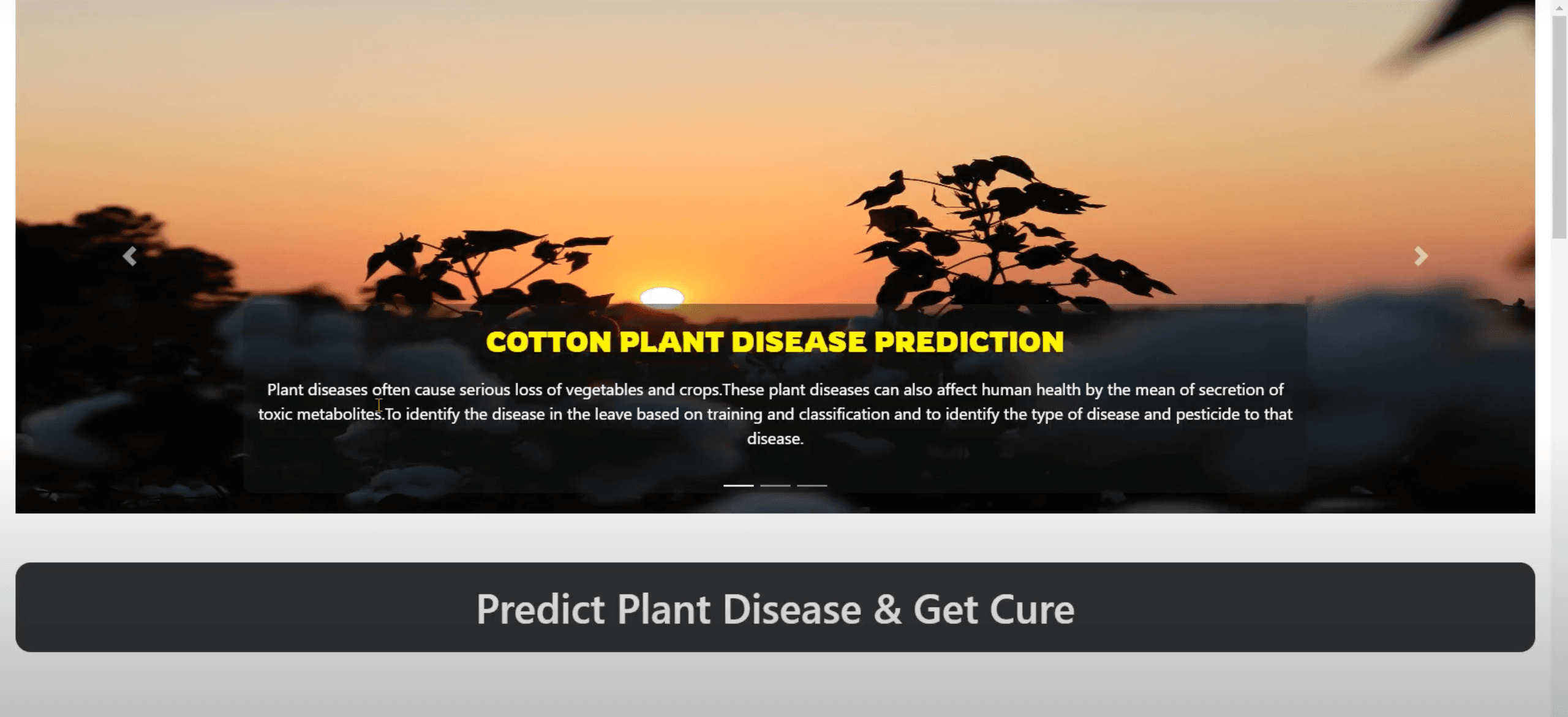 Cotton Plant Disease Classification