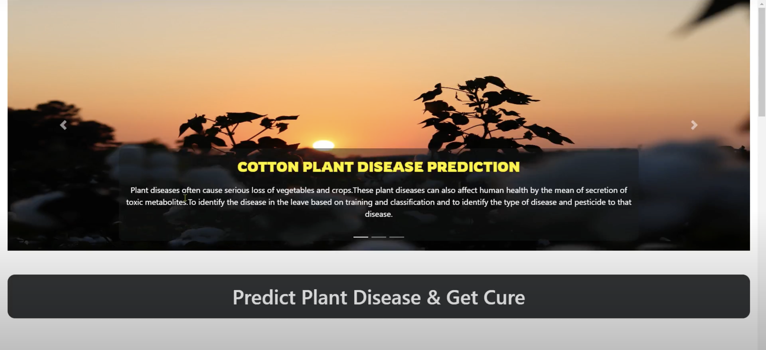 Brain Tumor Segmentation